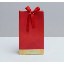 Пакет подарочный с лентой Present, 13 × 23 × 7 см